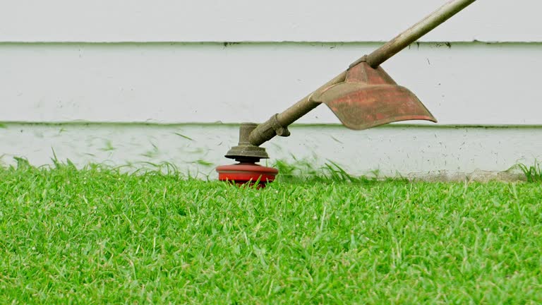 Best Storm Damage Tree Cleanup  in Eveleth, MN